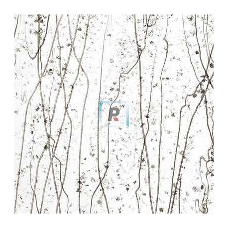 Mardi Gras Gris y Bronce 4229 25.5x11cm