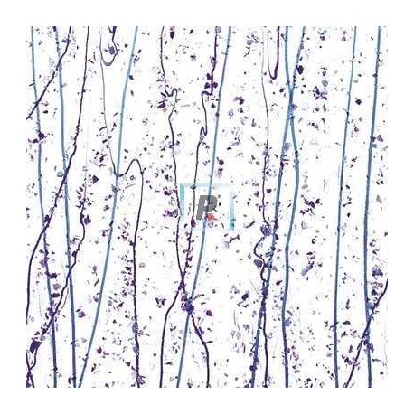 Mardi Gras Lavanda y Purpura 4242 44.5x51cm