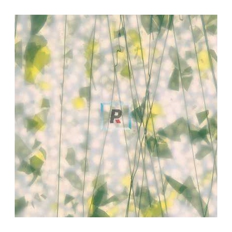 4012 SUMMER: Green&Yellow 44.5x51cm