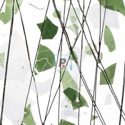 4117 Green & White 89x51cm