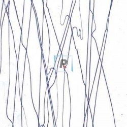 Streamer Azul Marino 4151 89x51cm