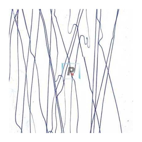 Streamer Azul Marino 4151 89x51cm