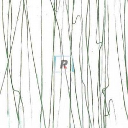 Streamer Verde Bosque 4152 89x51cm