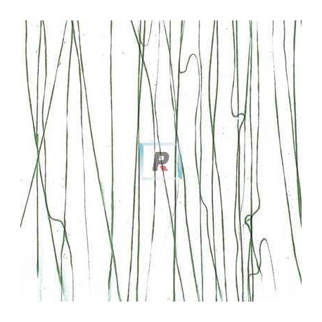 4152 Forest Green Clear Base 89x51cm