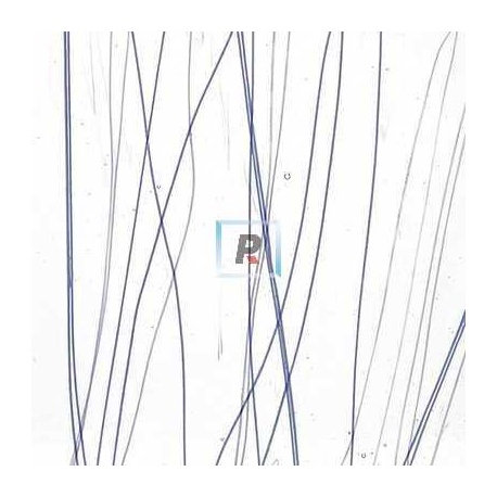 Streamer Azul y Blanco 4172 44.5x25.5cm