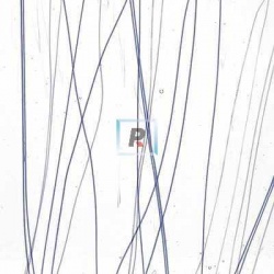 Streamer Azul y Blanco 4172 22x25.5cm