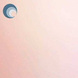 Opaque Smooth Champagne 291-61S-F OCS96 122x61cm