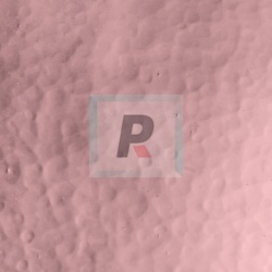 Wissmach Bronce Palido 156-S Corella Classic 53x41cm