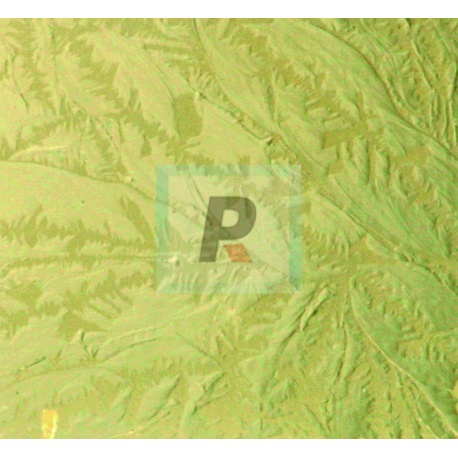 Wissmach Ambar Claro 0002 Givre 41x26cm