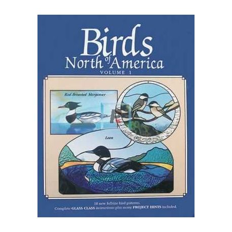 Birds North Of America