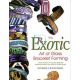 Exotic Art of Glass Bracelets Book