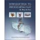 Introduction to Precious Metal Clay