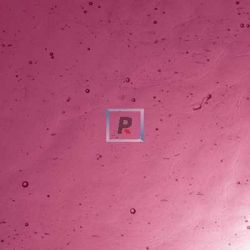 Catedral Antic 2-2 Purpura Rosa Oscuro