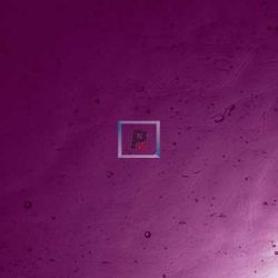 Catedral Antic 32-2 Morado Oscuro