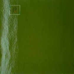 Uroboros 60-755-96 Fern Green Opal 61x61cm