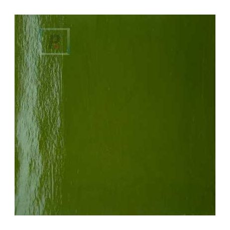 Uroboros 60-755-96 Fern Green Opal 61x61cm