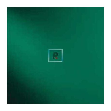 523-8SFL Hunter Green Solid Transp. 61x61cm