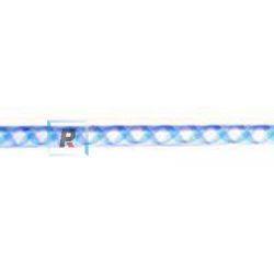 Cane Zanfirico Blue CO CZ4-96