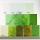Wissmach DR343 Medium Green 53x41cm