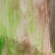 Wissmach Streaky Purpura y Verde 163LL 82x53cm