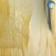 Wispy Ambar Palido 319-02S-F OCS96 30.5x15.2cm