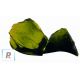 Transparent Dark Grass Green Block