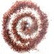Frits Brown Aventurine Medium Grain 250gr