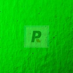 Hoja Verde Esmeralda Oscuro 030 100x65cm