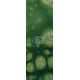 304-T/S Apple Green Reactive