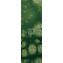 Reactivo Verde Manzana 304-T/S