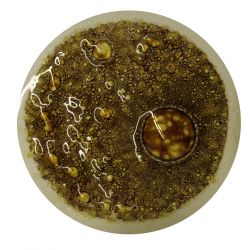 Burbuja OroTransparente CBT46K 200GR.