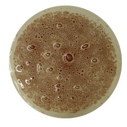 Burbuja Rojo Opaco CBC39K 200GR.
