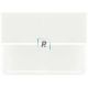 Bullseye 0113 White Opalescent 44.5x25.5cm