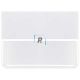 Bullseye 0143 Lacy White Opalescent 89x51cm