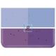 1234 Violet Striker Transparent 89x51cm