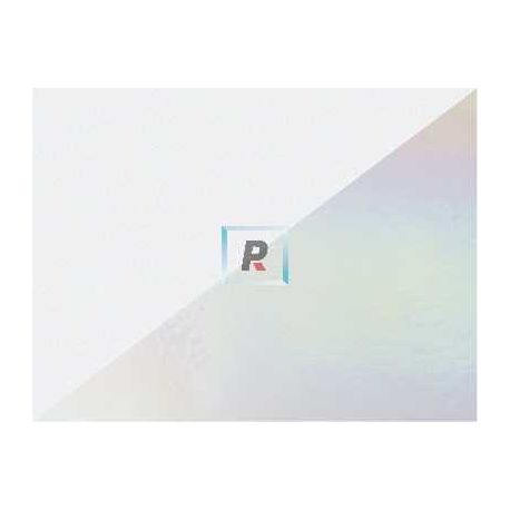 Bullseye Transparente Incoloro Hielo 1009 React. Iridiscente 89x51cm
