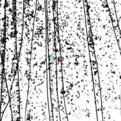 Mardi Gras Negro 4200 89x51cm