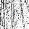 Mardi Gras Negro 4200 44.5x51cm