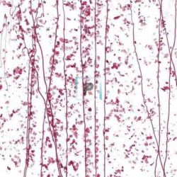 Mardi Gras Rosa y Arandano 4215 44.5x25.5cm