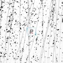 4218 Gray&Black Frit Whte Streamers 44.5x25.5cm