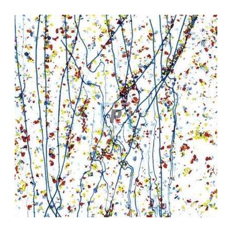 Mardi Gras Amarillo, Azul y Rojo 4223 44.5x25.5cm