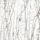 Mardi Gras Gris y Bronce 4229 89x51cm