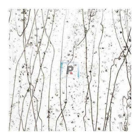 Mardi Gras Gris y Bronce 4229 89x51cm