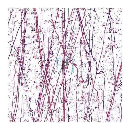 4234 Cranberry & Purple Frit 89x51cm