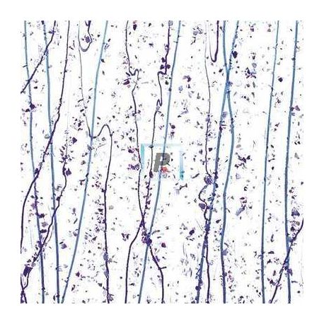 Mardi Gras Lavanda y Purpura 4242 89x51cm