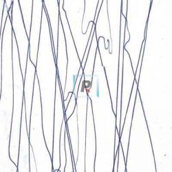 Streamer Azul Marino 4151 89x51cm