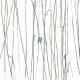 4152 Forest Green Clear Base 89x51cm