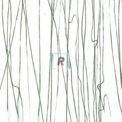 Streamer Verde Bosque 4152 89x51cm