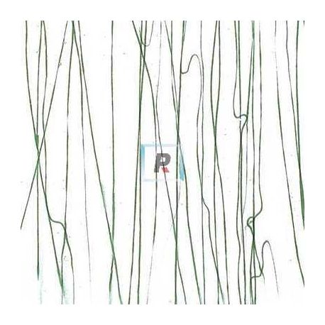 Streamer Verde Bosque 4152 89x51cm