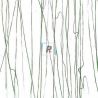 4152 Forest Green Clear Base 89x51cm